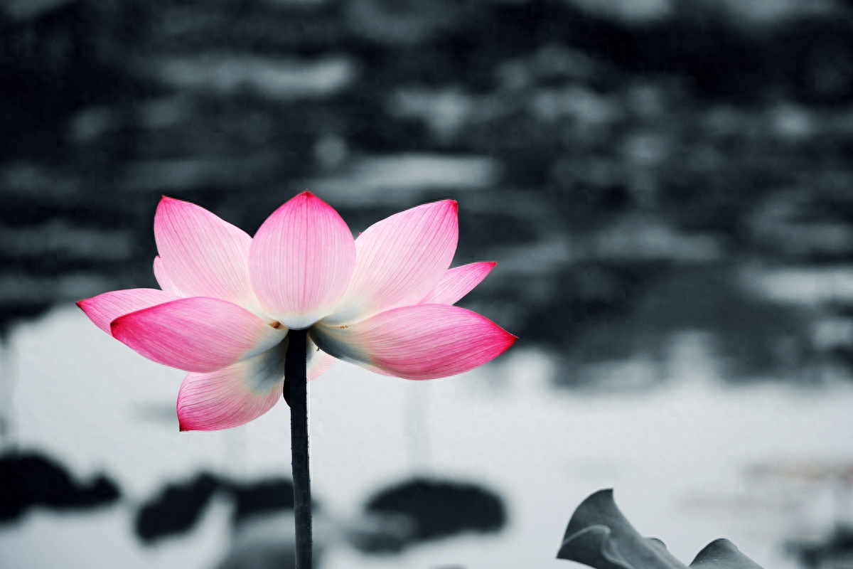 老人留下来勤俭持家的100句俗语，好好看看！（建议收藏）(图2)