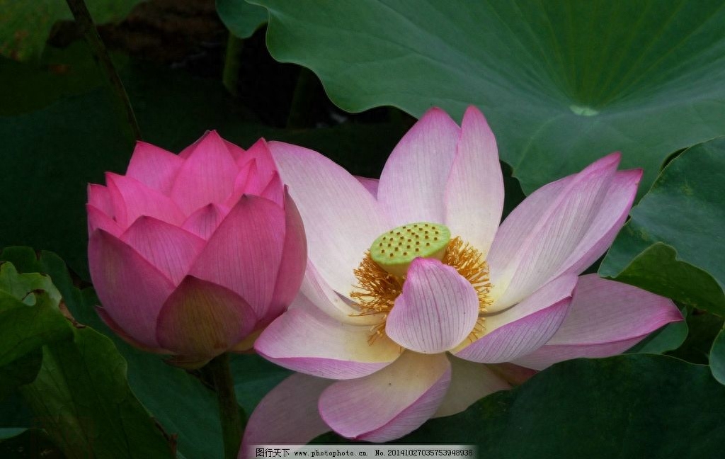 老人留下来勤俭持家的100句俗语，好好看看！（建议收藏）(图4)