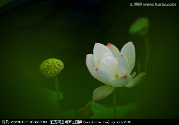 老人留下来勤俭持家的100句俗语，好好看看！（建议收藏）(图5)