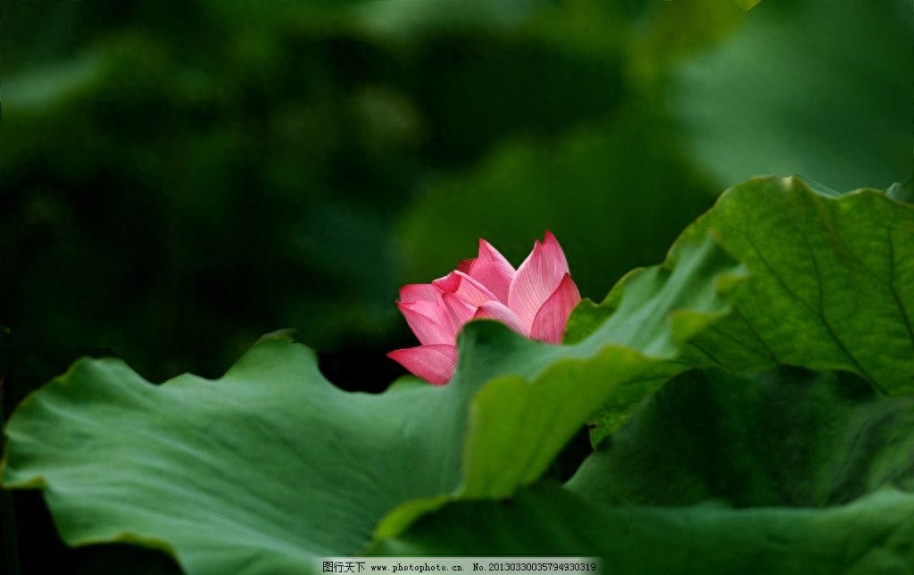 老人留下来勤俭持家的100句俗语，好好看看！（建议收藏）(图6)