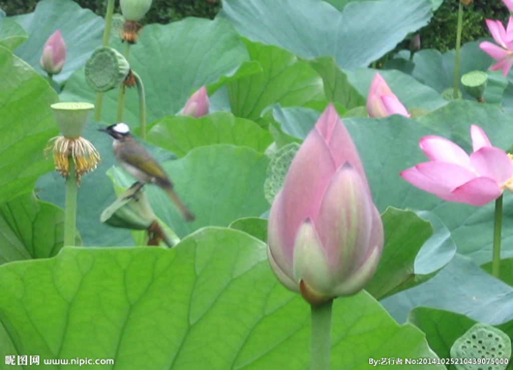 老人留下来勤俭持家的100句俗语，好好看看！（建议收藏）(图7)