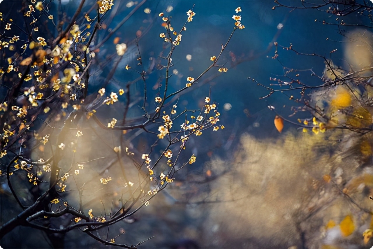 曾国藩10副对联：家勤则兴人勤则健，能勤能俭永不贫贱(图2)