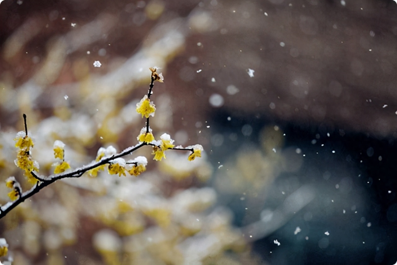 曾国藩10副对联：家勤则兴人勤则健，能勤能俭永不贫贱(图3)