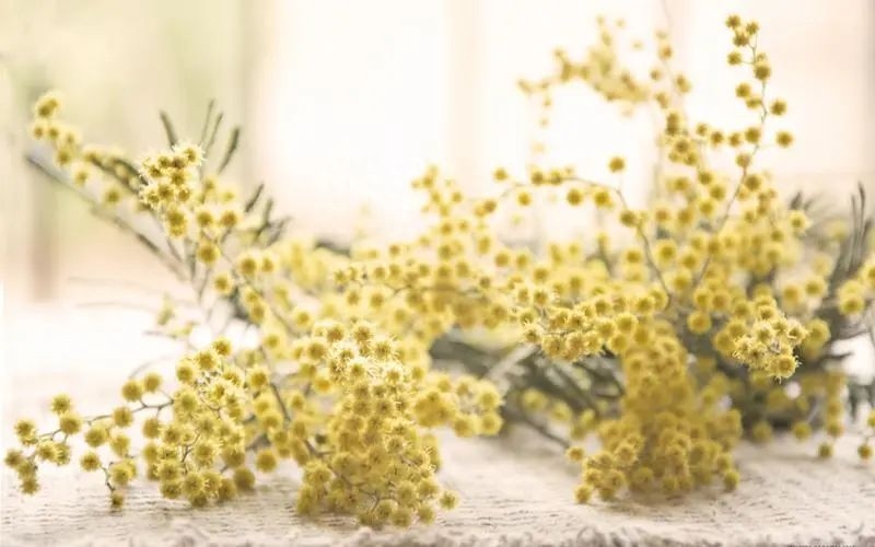 吊起猛物，收获暴笑——20句钓鱼的幽默句子(图1)