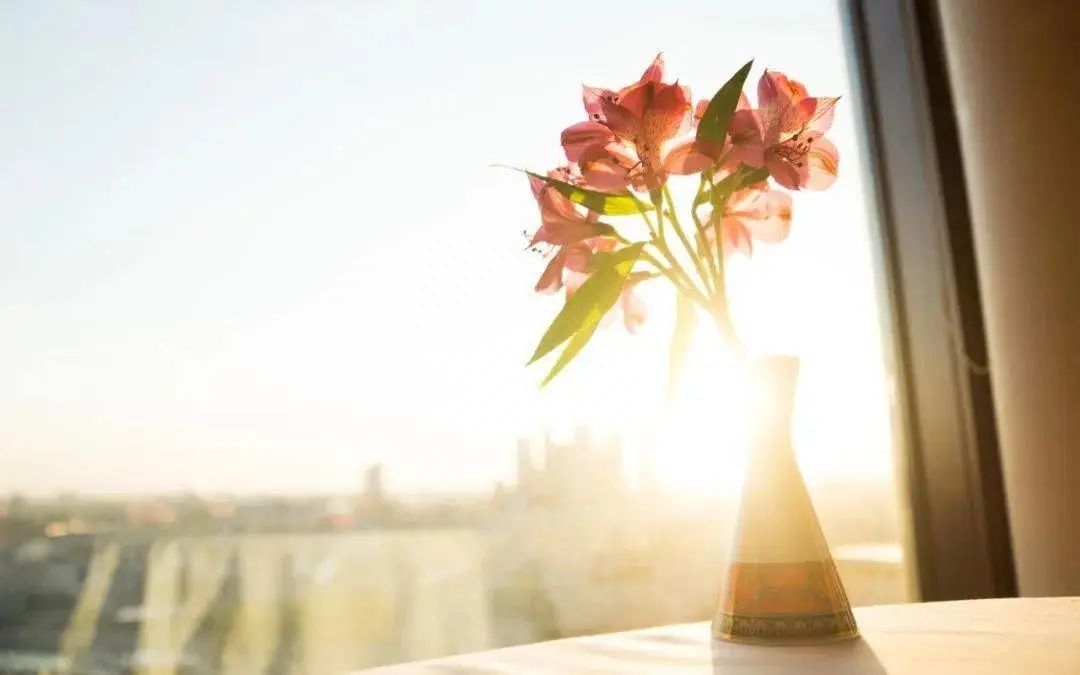 吊起猛物，收获暴笑——20句钓鱼的幽默句子(图2)