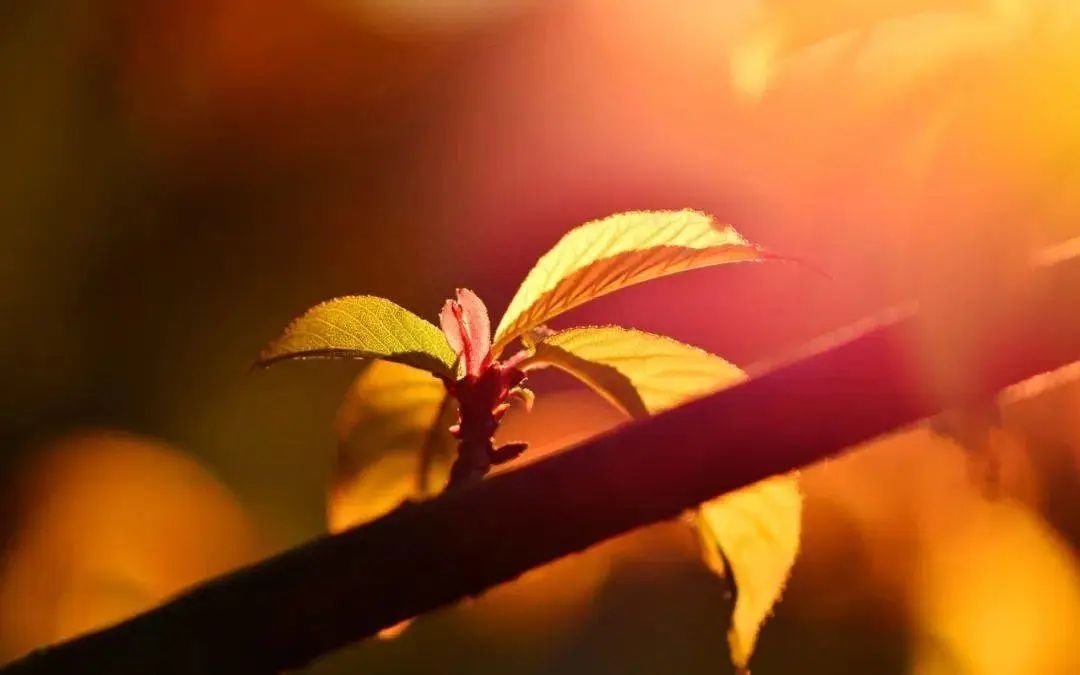 吊起猛物，收获暴笑——20句钓鱼的幽默句子(图3)