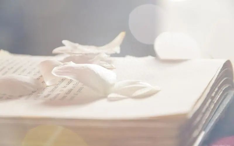 吊起猛物，收获暴笑——20句钓鱼的幽默句子(图4)