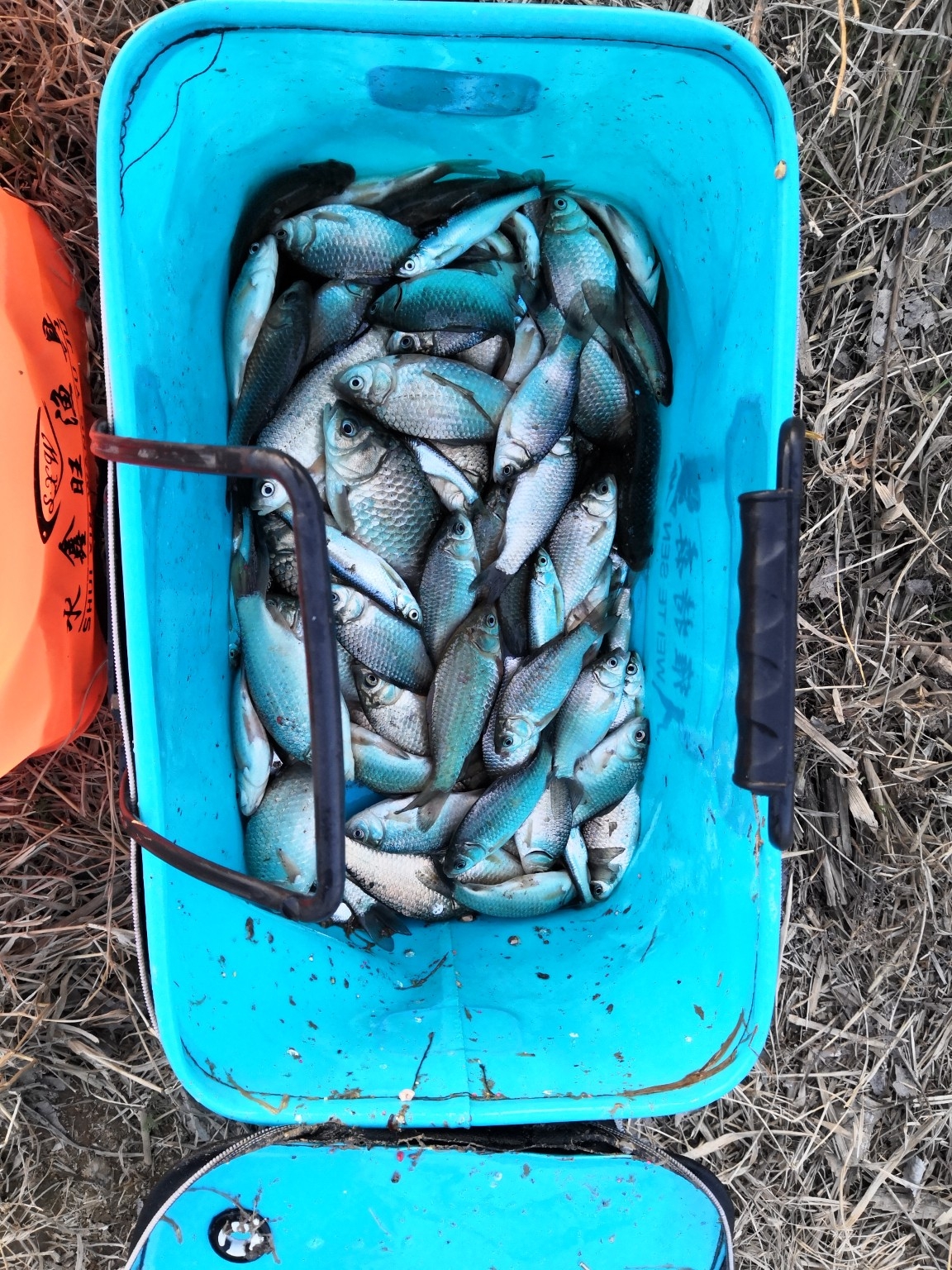 垂钓中探索人生，时刻不忘钓鱼人精神可贵(图1)