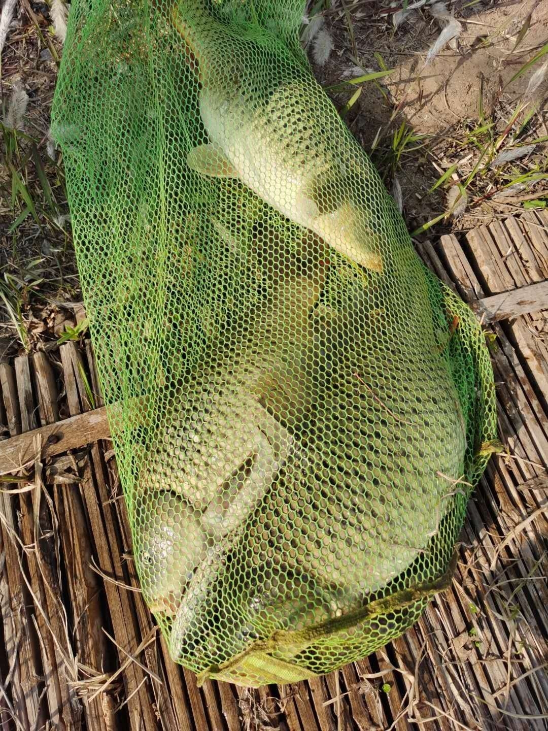 垂钓中探索人生，时刻不忘钓鱼人精神可贵(图3)