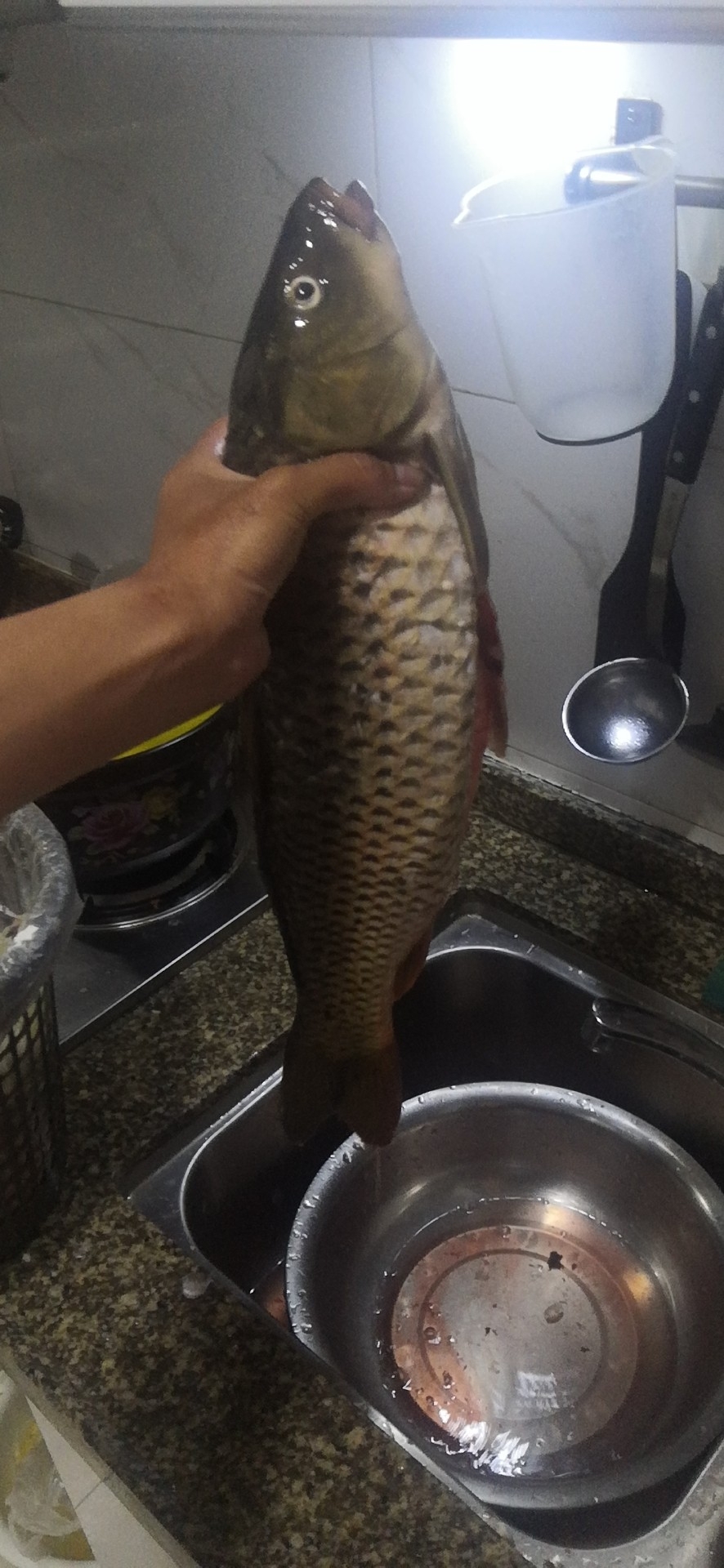 垂钓中探索人生，时刻不忘钓鱼人精神可贵(图4)