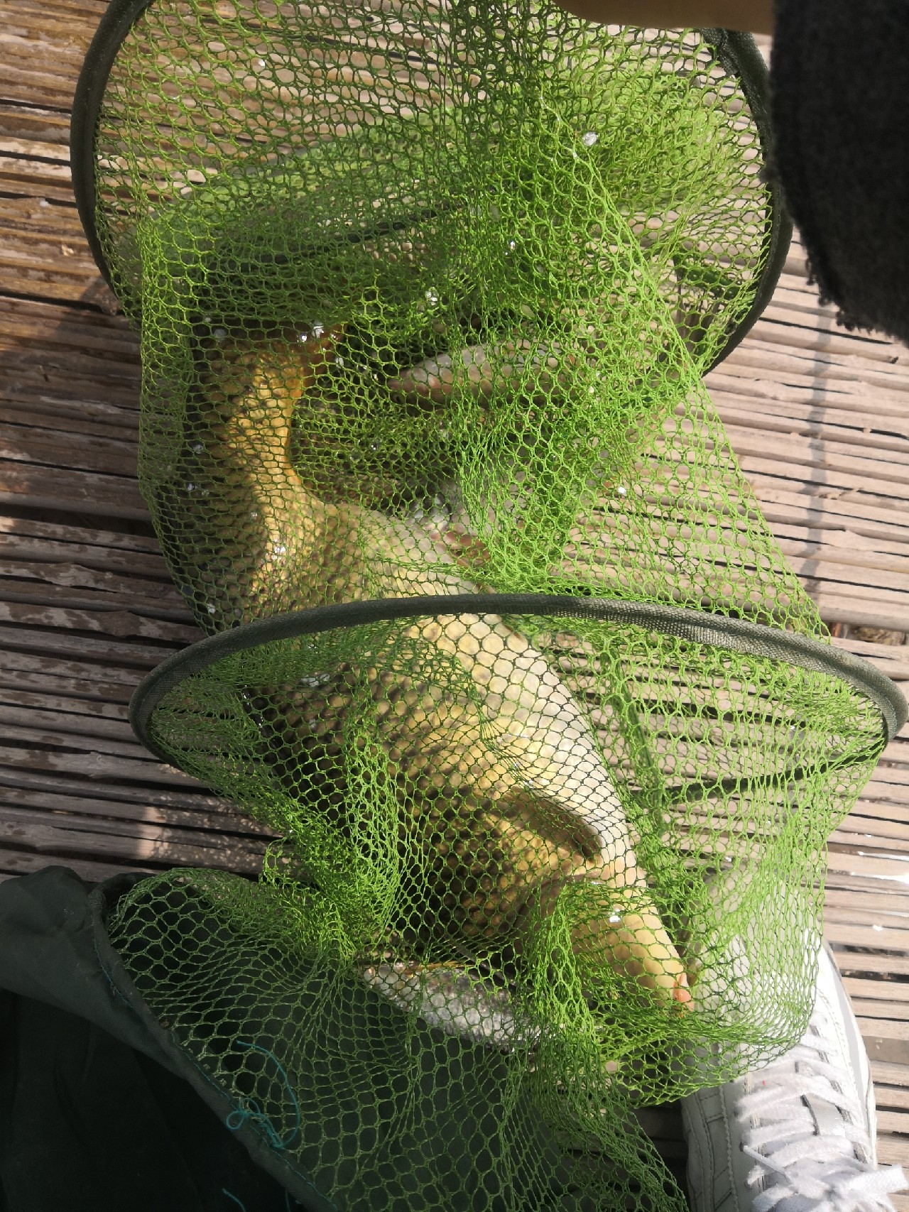 垂钓中探索人生，时刻不忘钓鱼人精神可贵(图6)