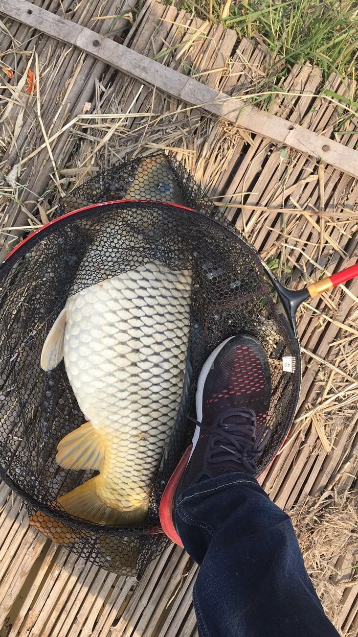 垂钓中探索人生，时刻不忘钓鱼人精神可贵(图7)