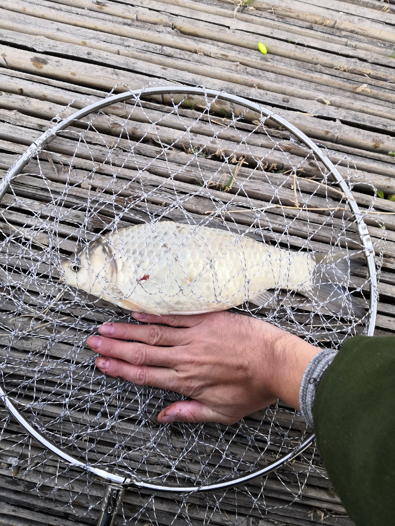 垂钓中探索人生，时刻不忘钓鱼人精神可贵(图8)