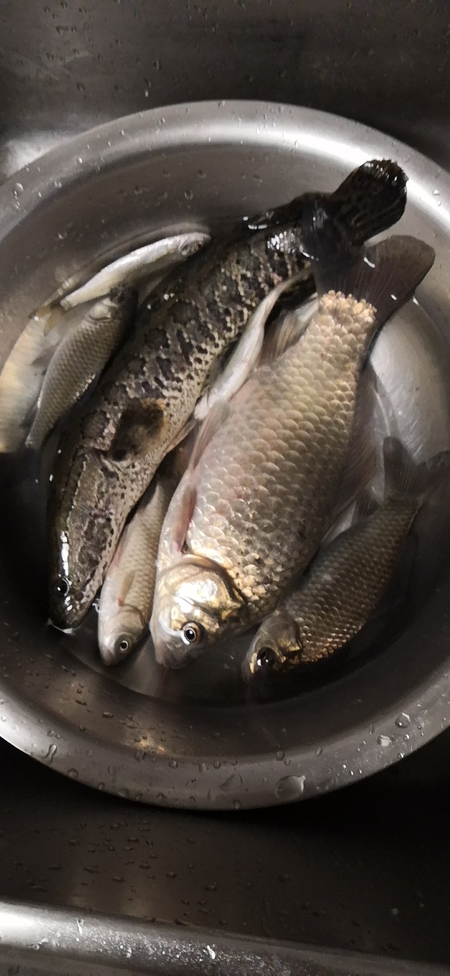 垂钓中探索人生，时刻不忘钓鱼人精神可贵(图9)