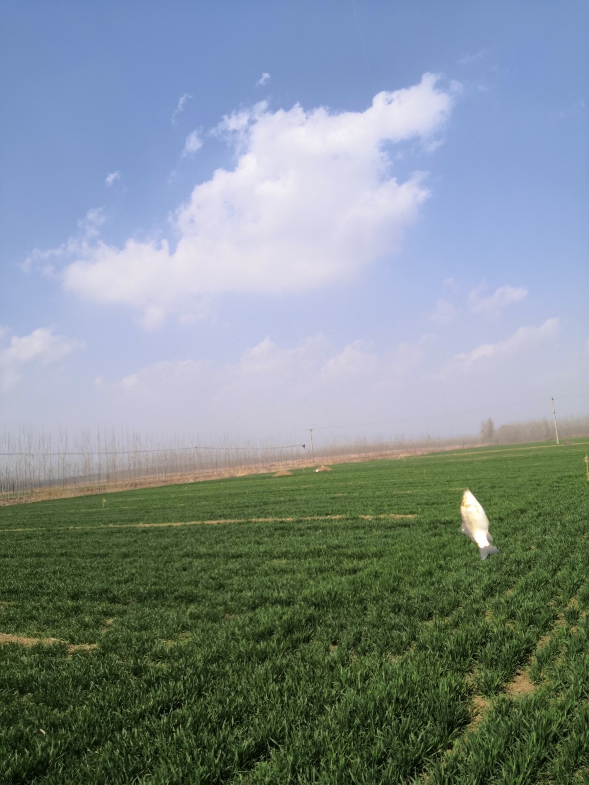 垂钓中探索人生，时刻不忘钓鱼人精神可贵(图17)