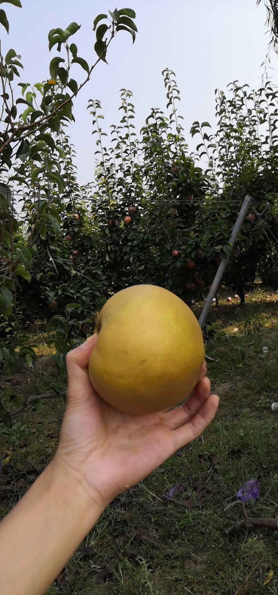 垂钓中探索人生，时刻不忘钓鱼人精神可贵(图19)