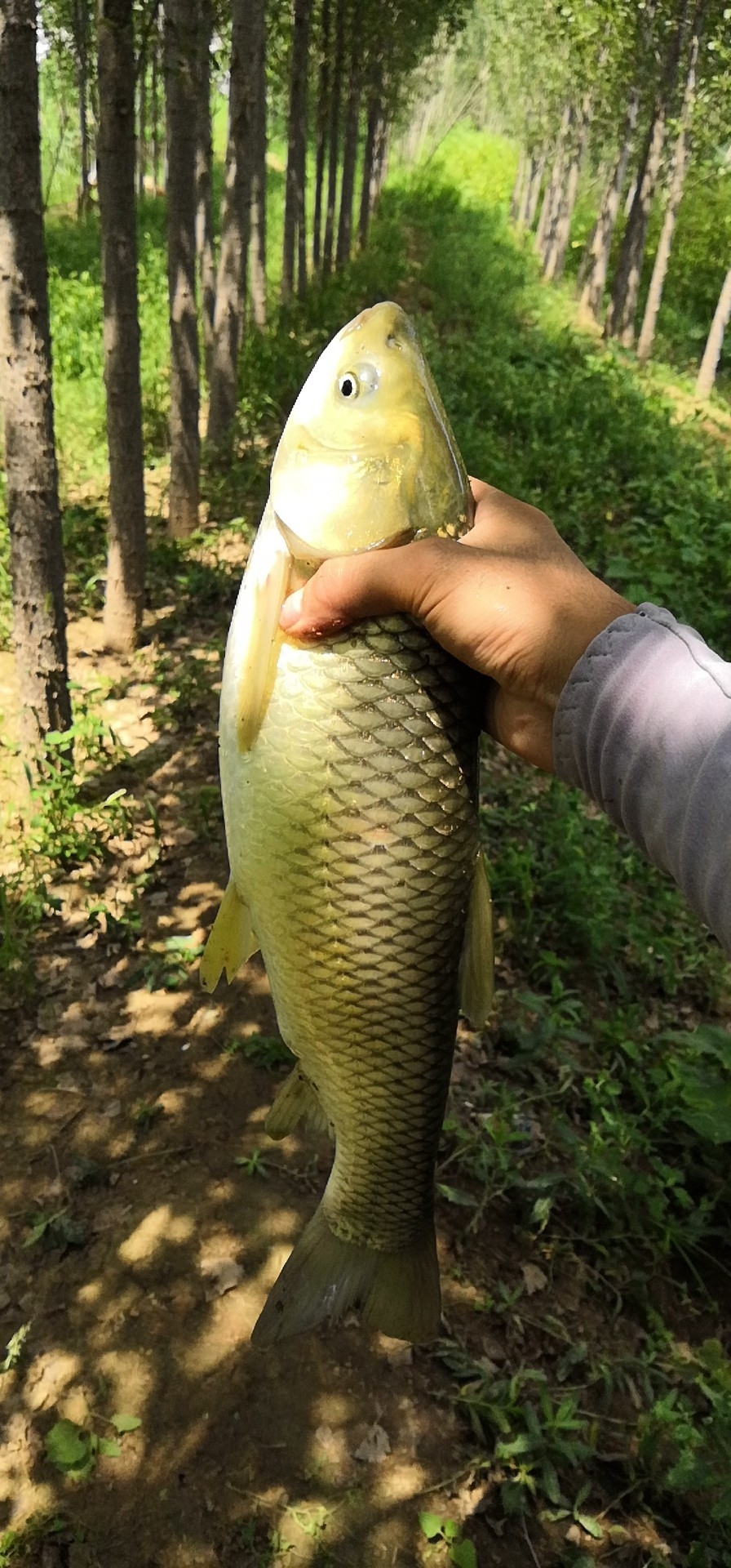 垂钓中探索人生，时刻不忘钓鱼人精神可贵(图21)