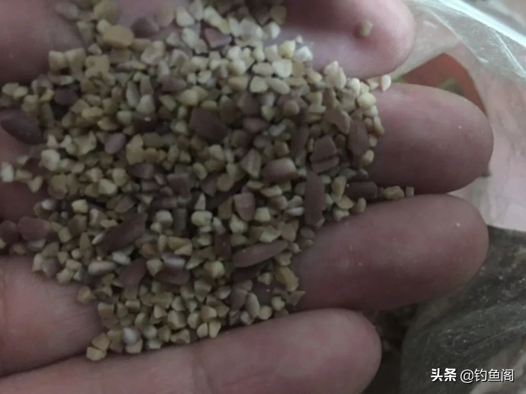 7句常见的渔具广告语，看似很厉害，谁买谁上当！(图6)