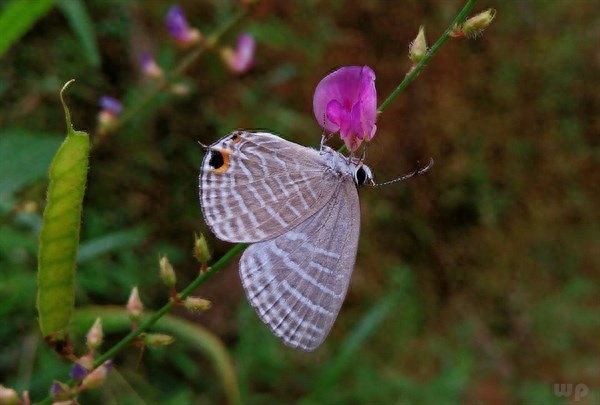 触动人心的伤感句子，句句充满正能量，爱过的人才会懂(图2)