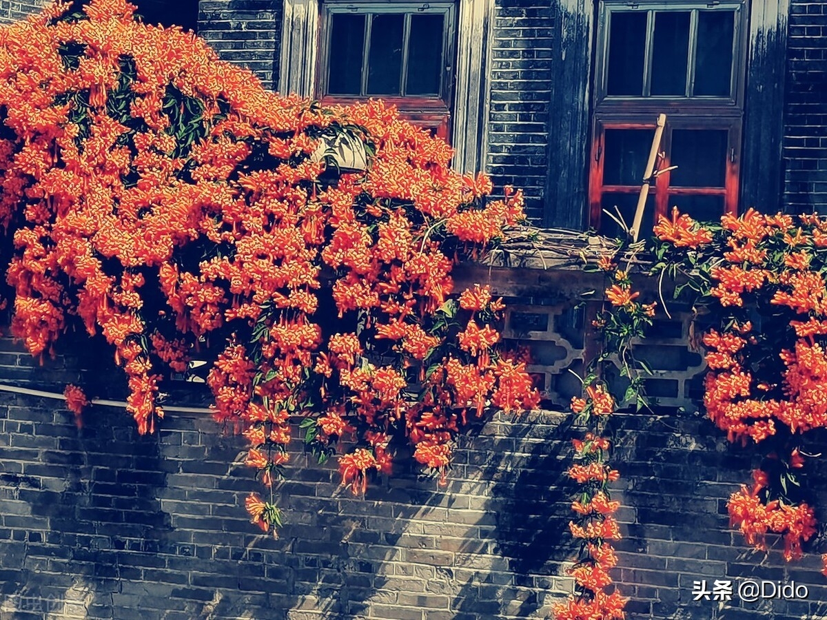 高情商教你怼人文案(图8)