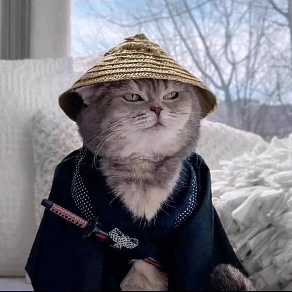 适合上班发的沙雕文案，哪句戳中你的心？(图1)