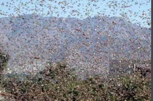 「小说闲谈」《三体》经典词句赏析1(图2)