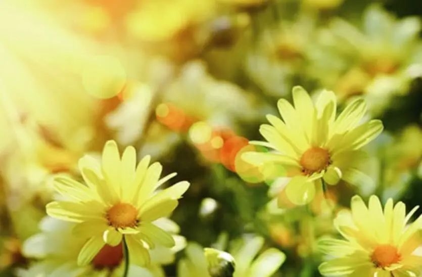 告别最走心的短句，在告别中寻找新的开始(图2)