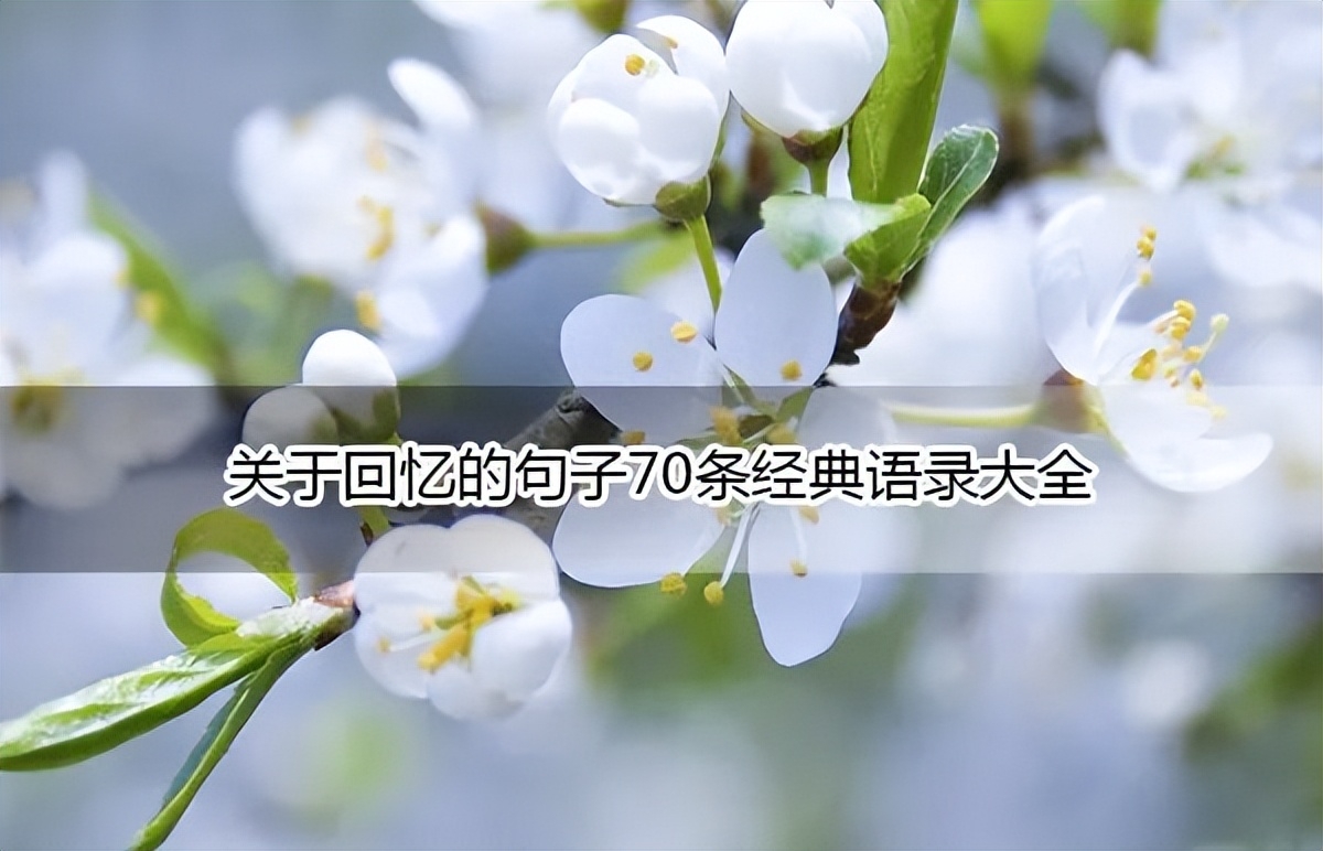 关于回忆的句子70条经典语录大全(图1)