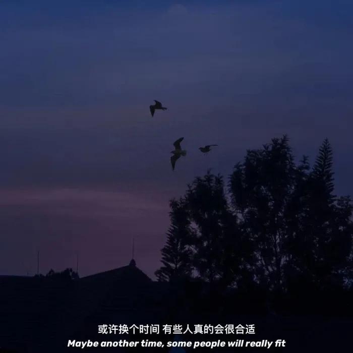 体面而温暖的分手文案，总有一句合你心意，也希望你永远用不上(图12)