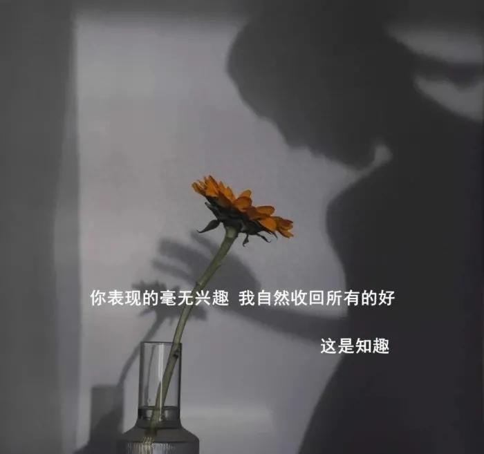 体面而温暖的分手文案，总有一句合你心意，也希望你永远用不上(图18)