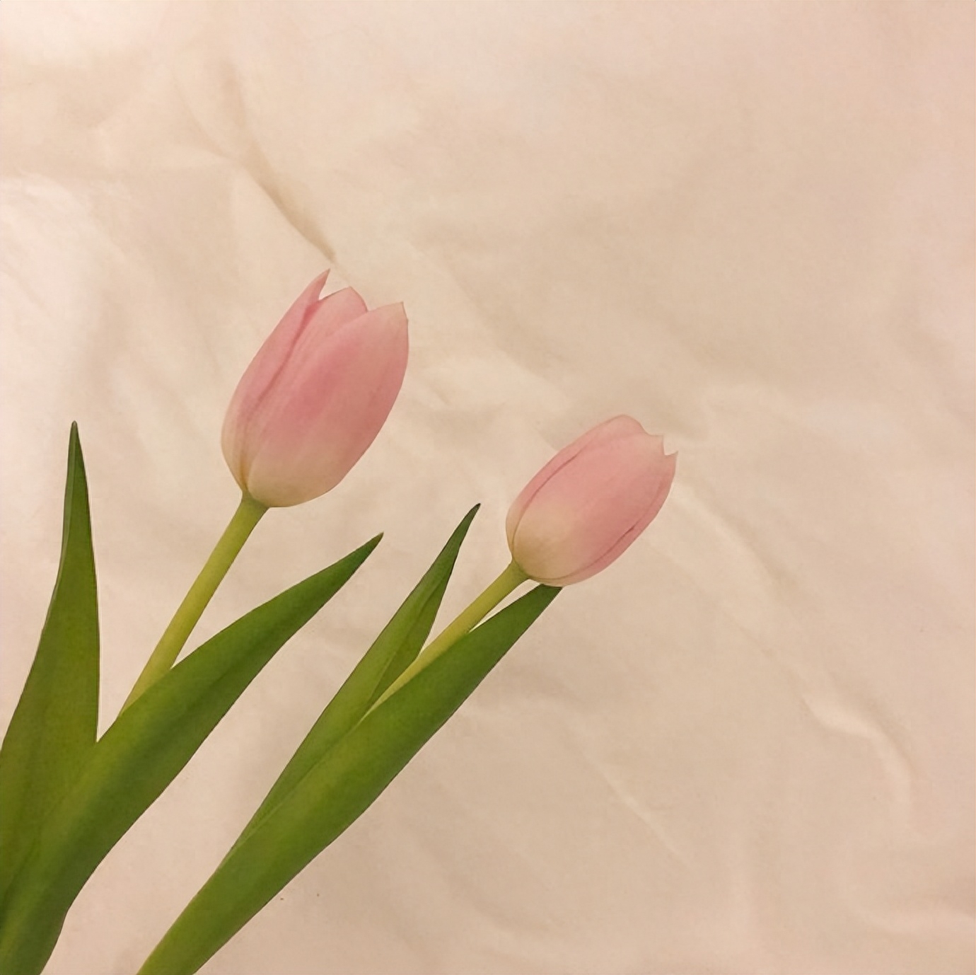 跟女朋友认错的暖心话(图1)