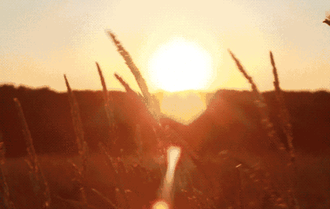 董卿高情商点评上热搜：人生能用“嘴”搞定的，不要用“脾气”(图1)