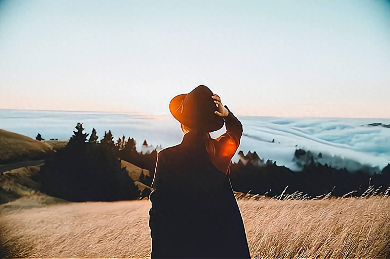 董卿：你的坚持，价值“百万”(图1)