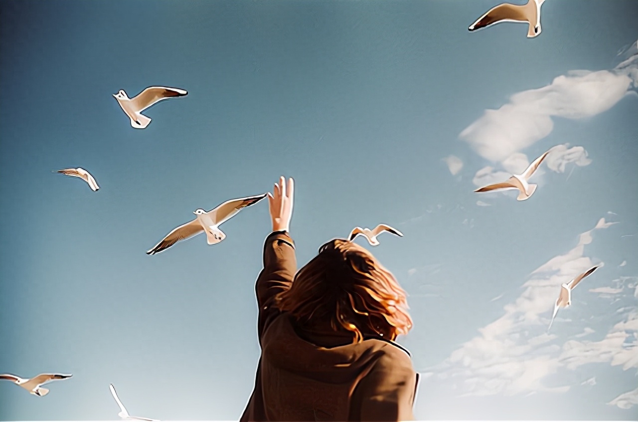 董卿：你的坚持，价值“百万”(图2)