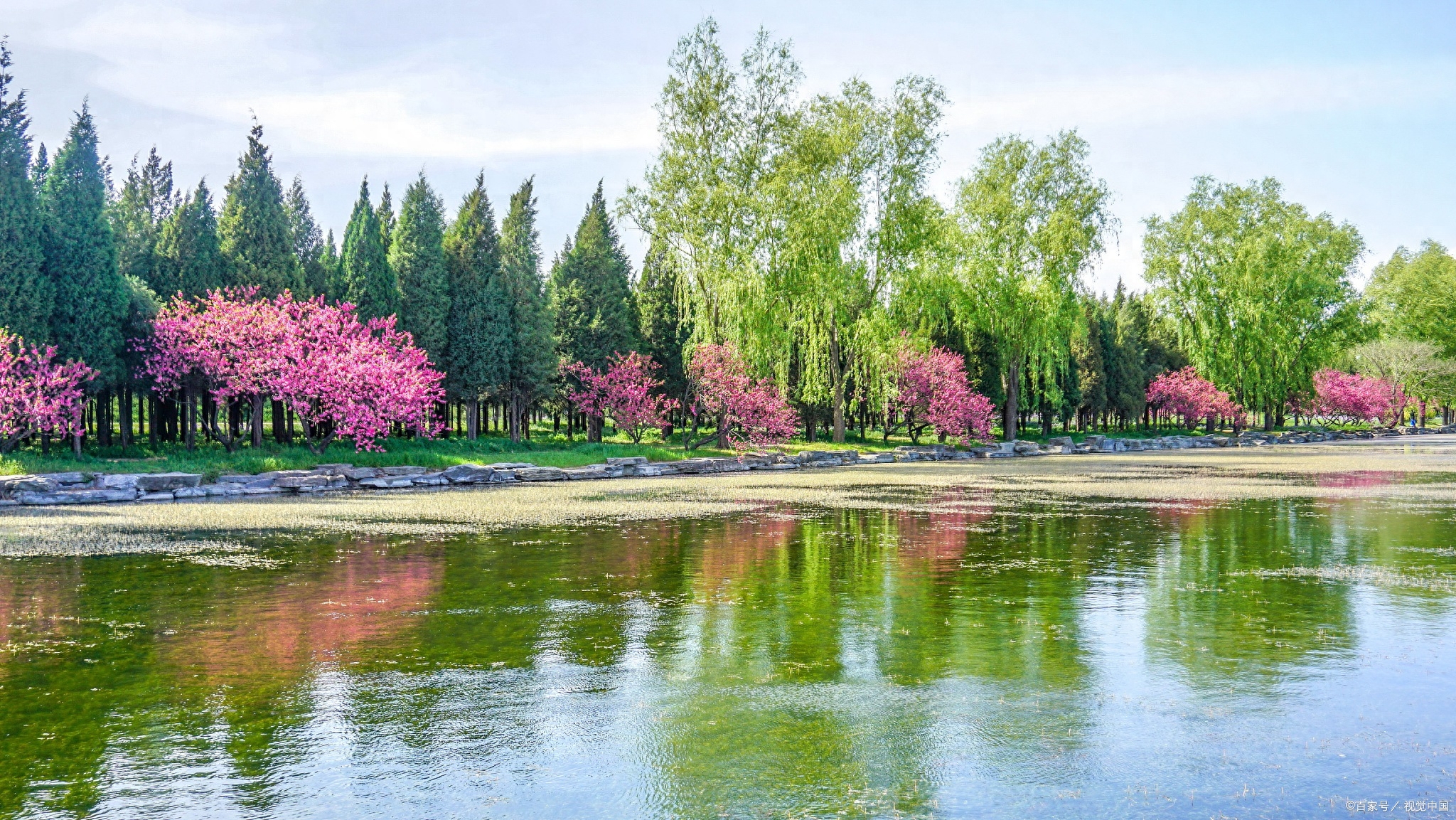 二年级语文描写春天的句子，小学二年级描写春天的优美诗句(图1)