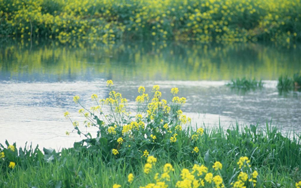 二年级语文描写春天的句子，小学二年级描写春天的优美诗句(图2)