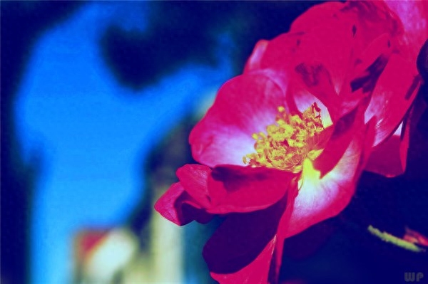 30句励志说说，句句正能量，值得慢慢品味(图2)