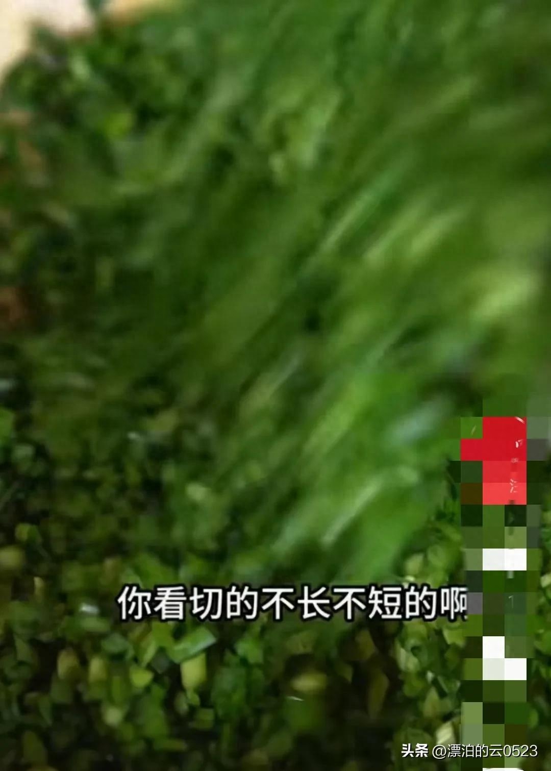 全网女人学习“凯凯奶奶”的温柔激励话术，实在让人佩服(图1)