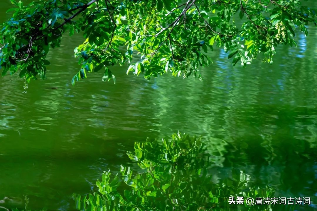 不同诗人笔下的夏天，哪一句惊艳了你(图4)