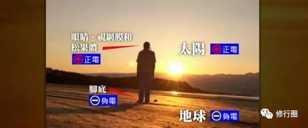 以太阳为食：食光食气是世界上最好的食物（附详细方法）(图6)