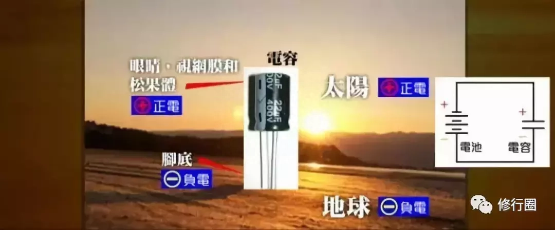 以太阳为食：食光食气是世界上最好的食物（附详细方法）(图7)