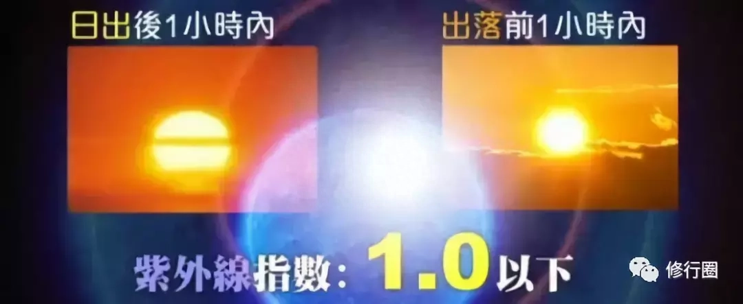 以太阳为食：食光食气是世界上最好的食物（附详细方法）(图11)