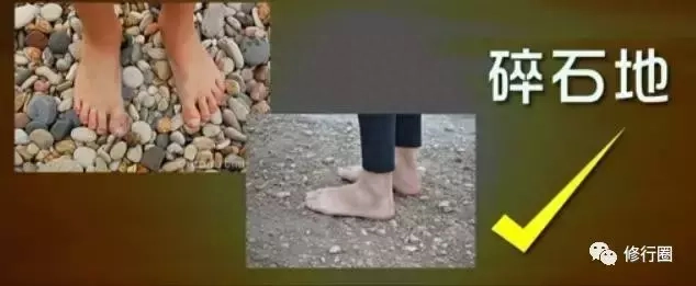 以太阳为食：食光食气是世界上最好的食物（附详细方法）(图16)