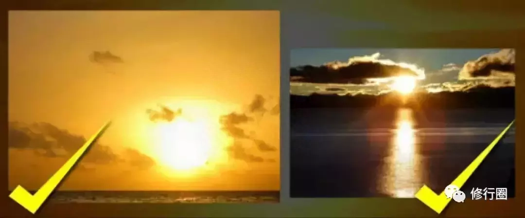 以太阳为食：食光食气是世界上最好的食物（附详细方法）(图20)