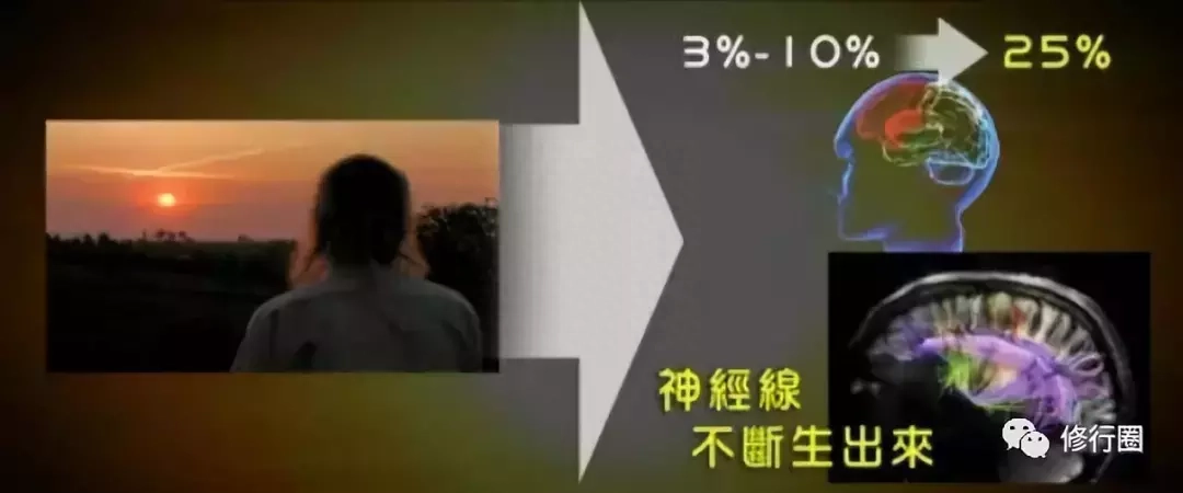 以太阳为食：食光食气是世界上最好的食物（附详细方法）(图32)