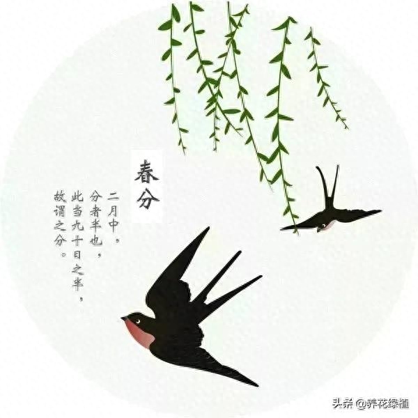 春分节气到了，这天刮风好不好？看看这些农谚有什么预兆(图4)
