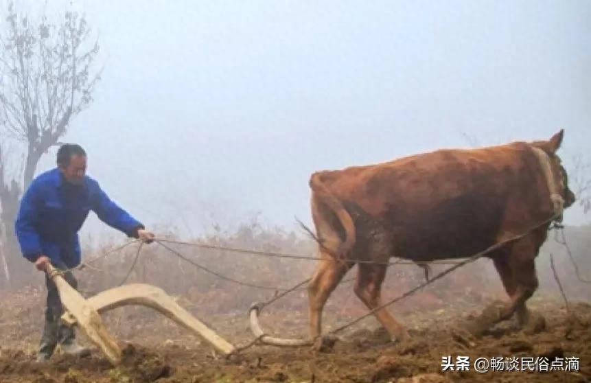 天气预报：立春节气到了，下雨啥预兆？看看老祖宗留下的农谚(图3)