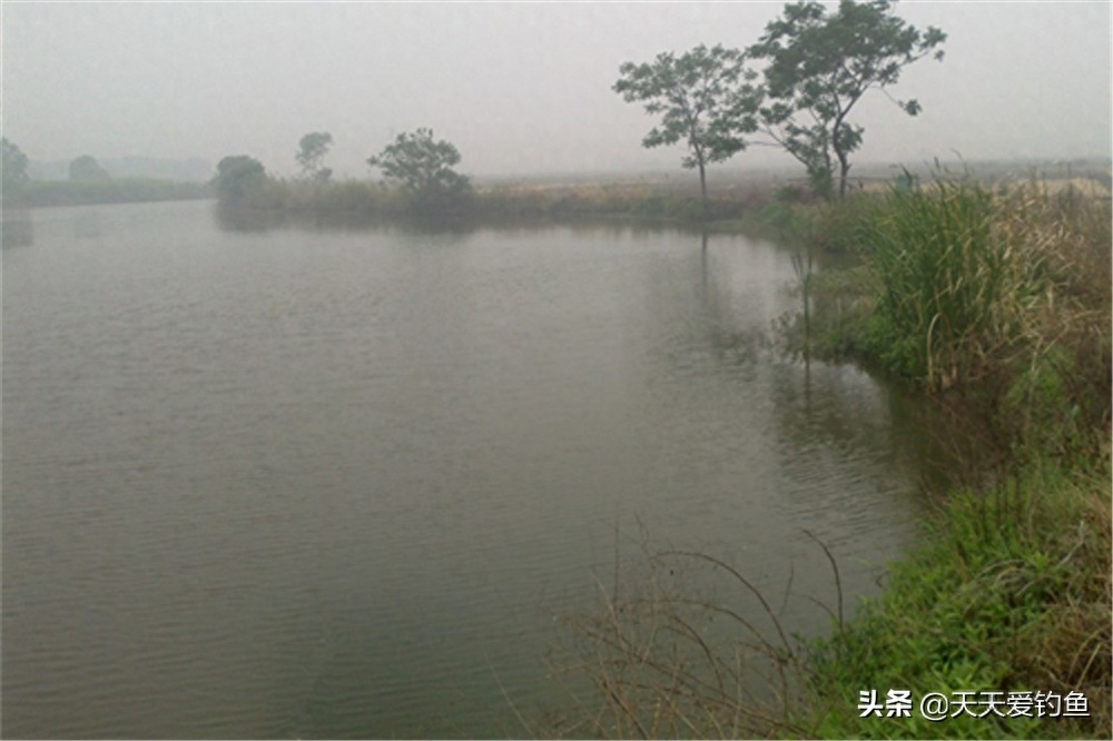 春季钓鱼有绝招：春季如何钓更多的鱼？看看这些谚语就知道了(图2)