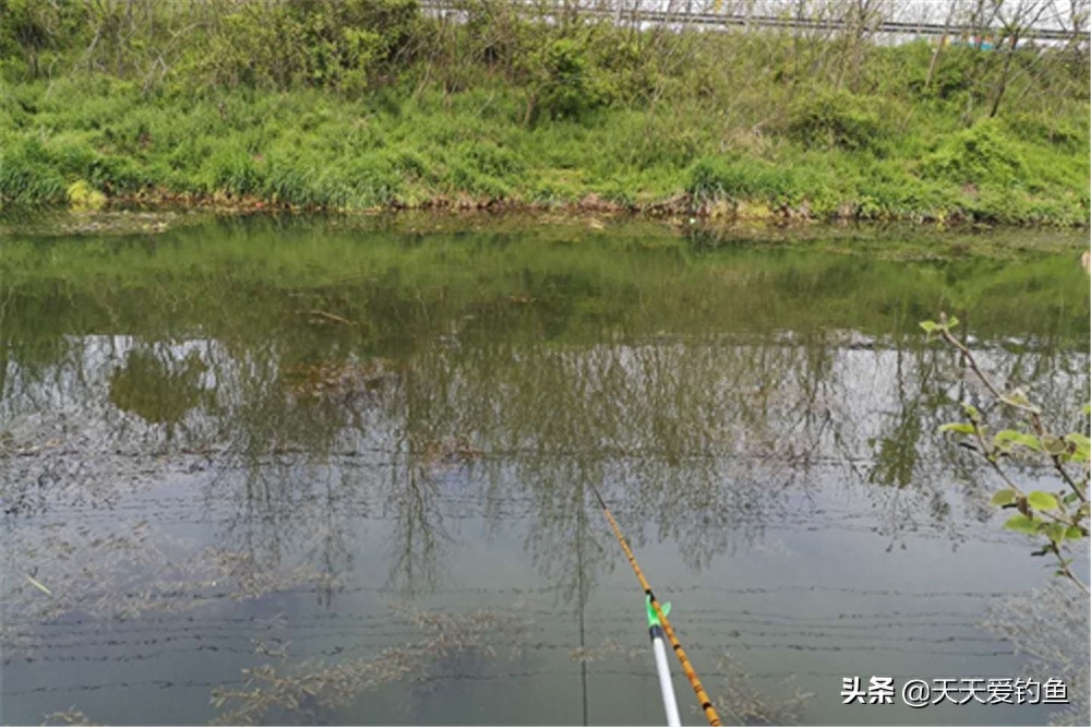 春季钓鱼有绝招：春季如何钓更多的鱼？看看这些谚语就知道了(图4)