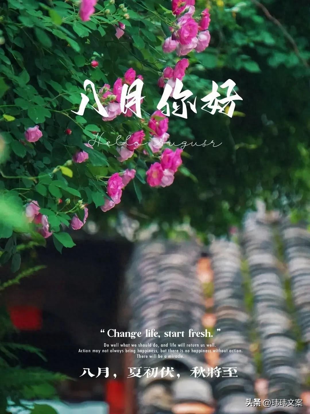 7月再见，8月你好，30条适合收藏的朋友圈文案(图1)